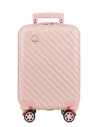 מזוודה בצבע ורוד
0-3 חודשים